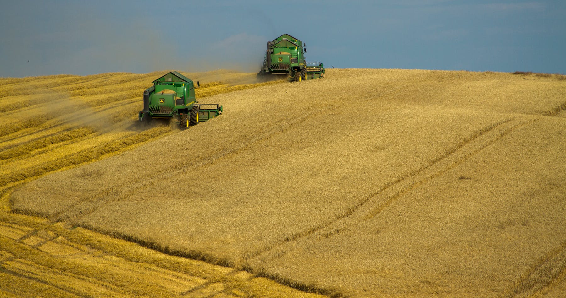 Distribution and supply chain operations